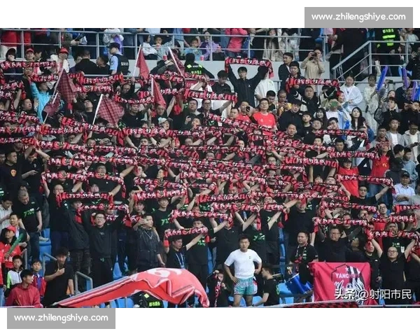 全方位解析2026年全球体育赛事盛况聚焦精彩对决与运动员表现